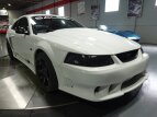 Thumbnail Photo 12 for 2004 Ford Mustang Saleen